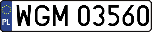 WGM03560