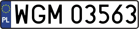 WGM03563