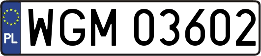 WGM03602
