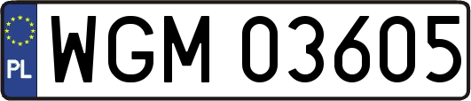 WGM03605