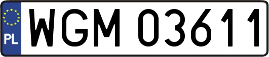 WGM03611