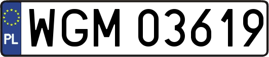 WGM03619