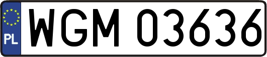 WGM03636