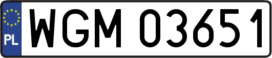 WGM03651