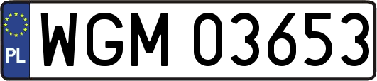 WGM03653