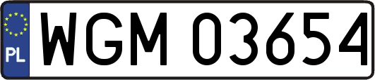 WGM03654
