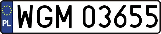 WGM03655