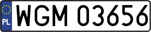 WGM03656