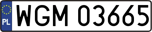 WGM03665