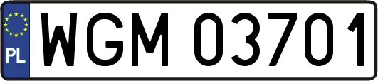 WGM03701