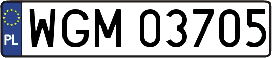 WGM03705