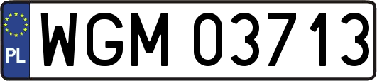 WGM03713