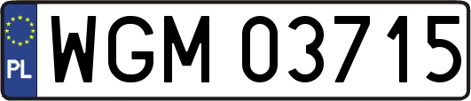 WGM03715