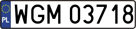 WGM03718