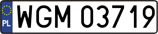 WGM03719