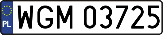 WGM03725