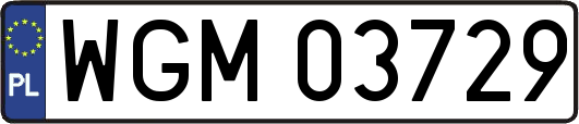 WGM03729