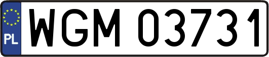 WGM03731