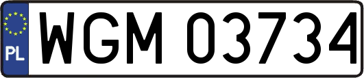 WGM03734