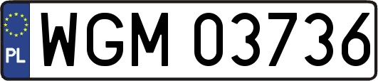WGM03736