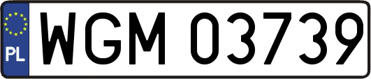 WGM03739