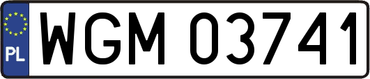 WGM03741