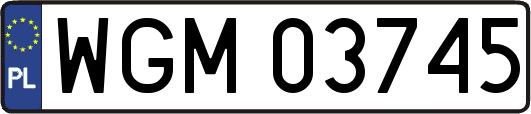 WGM03745