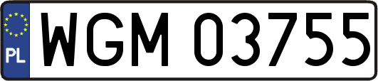 WGM03755
