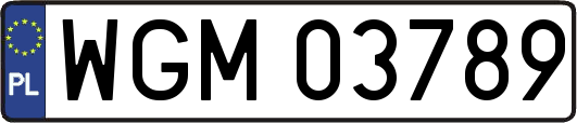 WGM03789