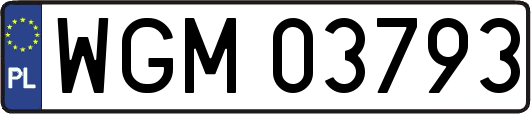 WGM03793
