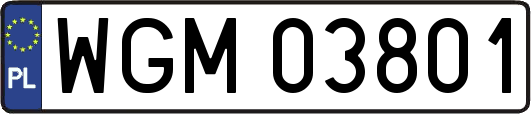 WGM03801