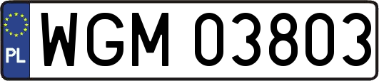 WGM03803