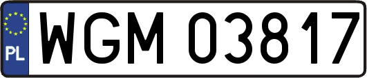 WGM03817