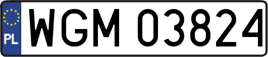WGM03824