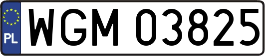 WGM03825