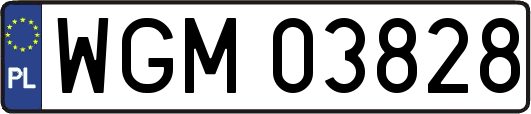 WGM03828