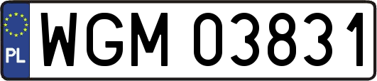WGM03831