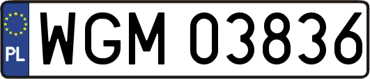 WGM03836