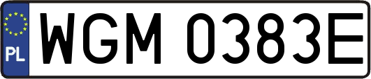 WGM0383E