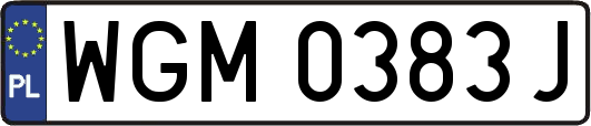 WGM0383J