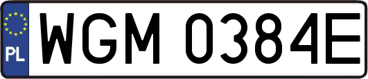 WGM0384E