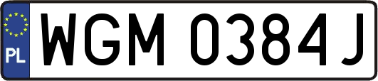 WGM0384J
