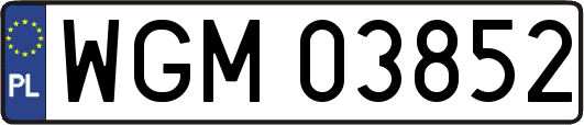 WGM03852