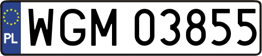 WGM03855