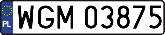 WGM03875
