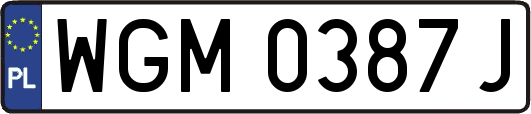 WGM0387J