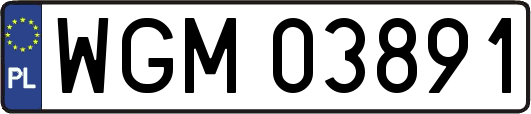 WGM03891