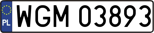 WGM03893