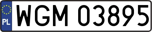 WGM03895