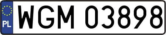 WGM03898